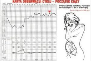 NPR od podszewki