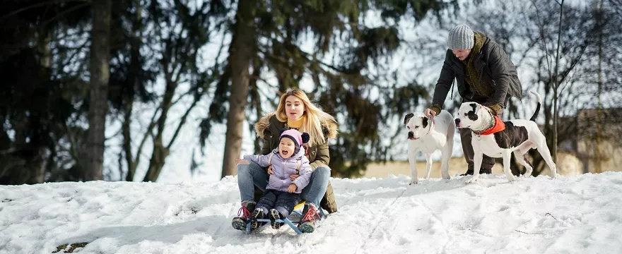 Co robić z dzieckiem w domu w czasie ferii? To nie czas na nudę!