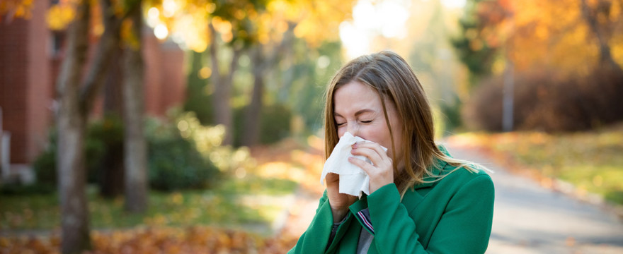 Dlaczego mam alergię, czyli skąd się bierze alergia?