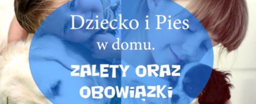 Dziecko i pies w domu - ZOBACZ FILM 