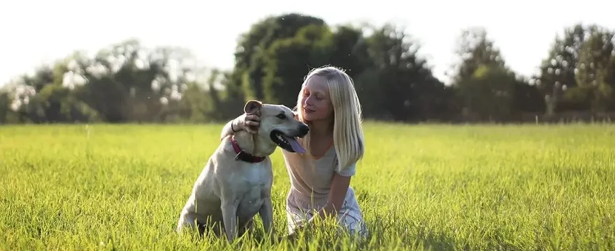 Jak pomóc dziecku przemóc traumę?