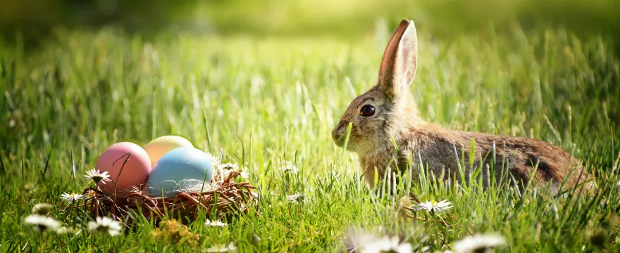 Polskie tradycje wielkanocne, czyli zwyczaje dawnej wsi